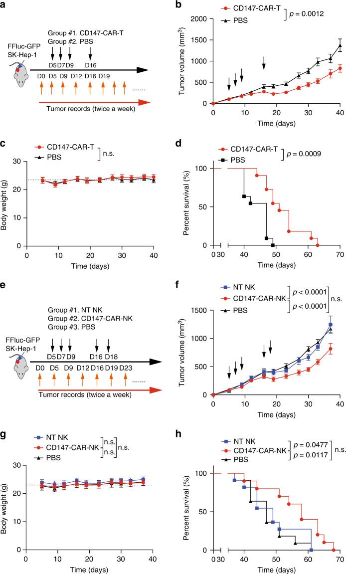 https://cdn.ncbi.nlm.nih.gov/pmc/blobs/c345/7511348/b8a058d5fffe/41467_2020_18444_Fig3_HTML.jpg