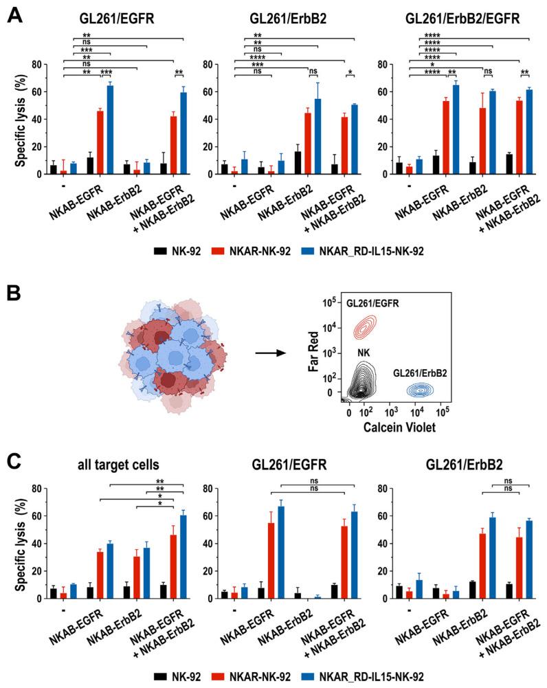 https://cdn.ncbi.nlm.nih.gov/pmc/blobs/c34c/10854564/07fa1bcc88db/cells-13-00246-g006.jpg