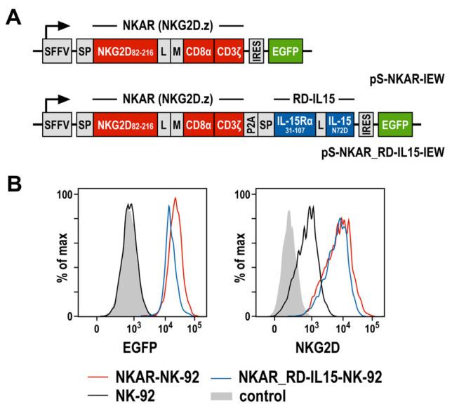 https://cdn.ncbi.nlm.nih.gov/pmc/blobs/c34c/10854564/21461c66eac0/cells-13-00246-g001.jpg
