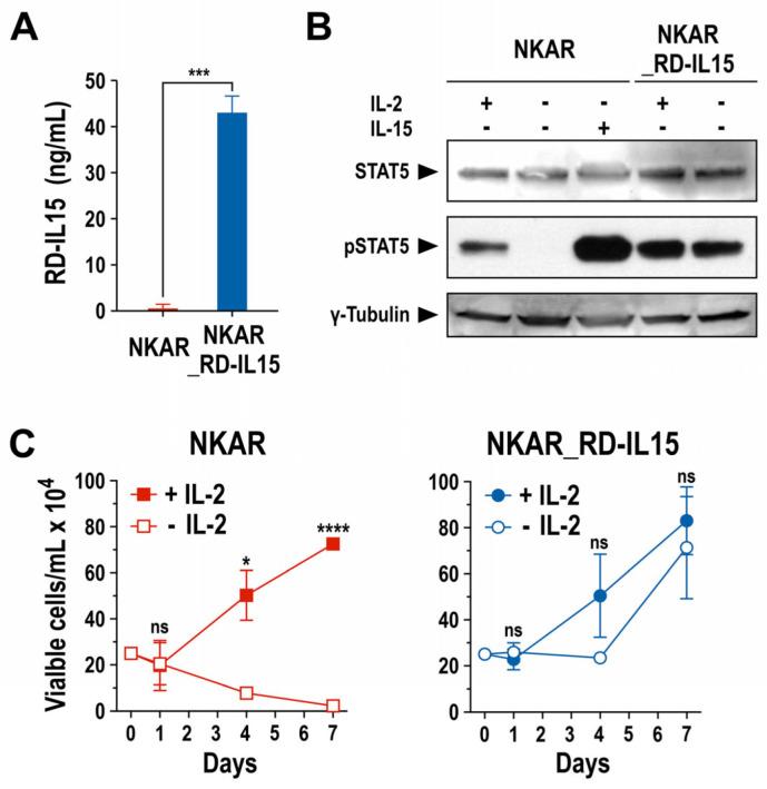 https://cdn.ncbi.nlm.nih.gov/pmc/blobs/c34c/10854564/8f18f23bcca0/cells-13-00246-g003.jpg