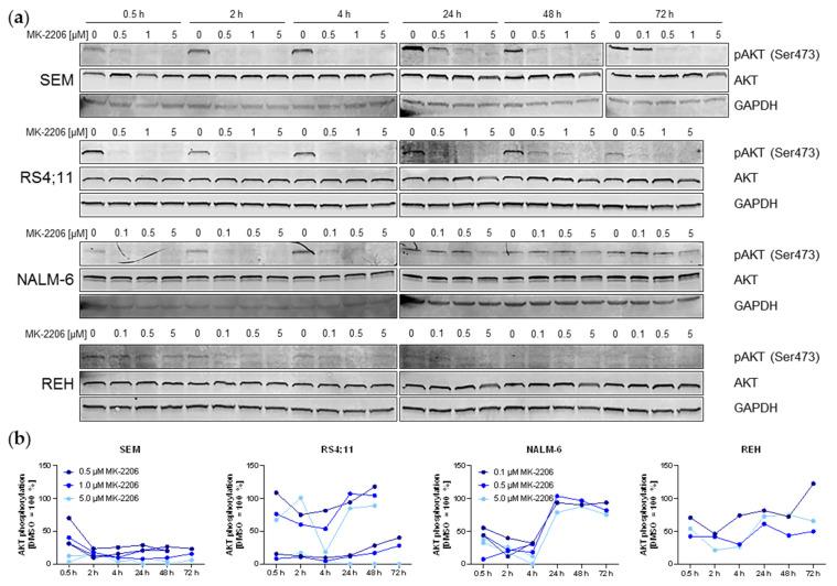https://cdn.ncbi.nlm.nih.gov/pmc/blobs/c34d/7967241/54d918143361/ijms-22-02771-g001.jpg