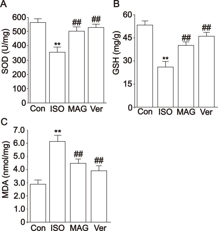 https://cdn.ncbi.nlm.nih.gov/pmc/blobs/c34e/6986180/496d8a12fd05/DDDT-14-331-g0005.jpg