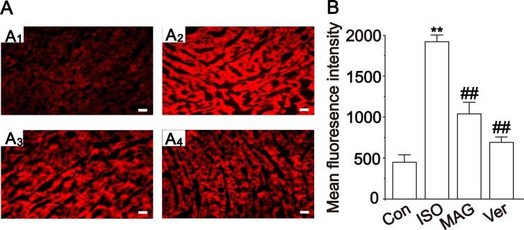 https://cdn.ncbi.nlm.nih.gov/pmc/blobs/c34e/6986180/6bf64f913fe5/DDDT-14-331-g0007.jpg