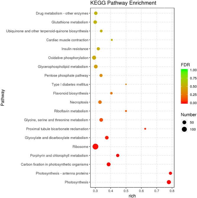 https://cdn.ncbi.nlm.nih.gov/pmc/blobs/c351/8210830/fc3c86a4a75d/fpls-12-643579-g007.jpg