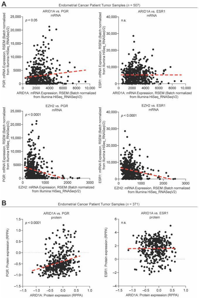 https://cdn.ncbi.nlm.nih.gov/pmc/blobs/c351/8946988/2a691ba99bd6/cells-11-01000-g008.jpg