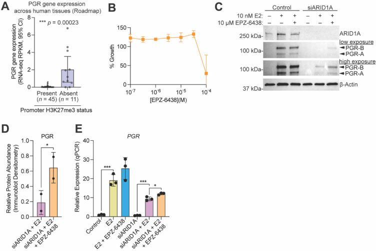https://cdn.ncbi.nlm.nih.gov/pmc/blobs/c351/8946988/2e8002e1b24d/cells-11-01000-g007.jpg