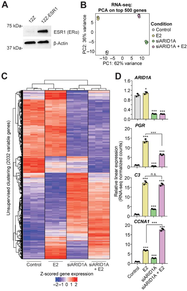 https://cdn.ncbi.nlm.nih.gov/pmc/blobs/c351/8946988/f73c6982a398/cells-11-01000-g001.jpg