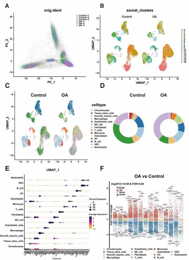 https://cdn.ncbi.nlm.nih.gov/pmc/blobs/c352/12004787/50119c4d6176/13018_2025_5793_Fig2_HTML.jpg