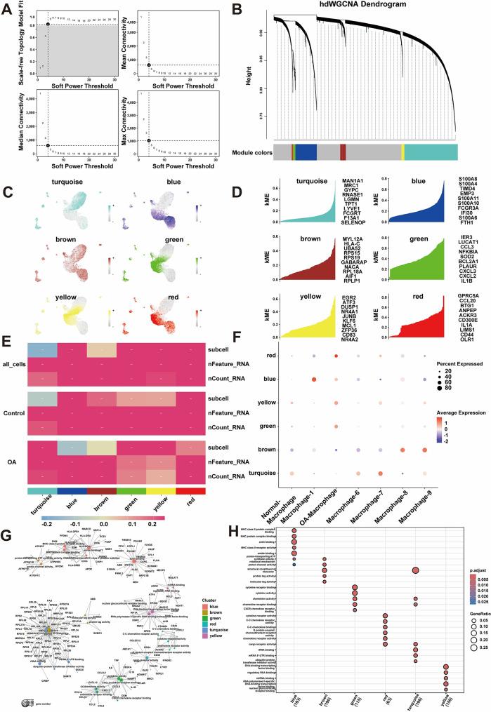 https://cdn.ncbi.nlm.nih.gov/pmc/blobs/c352/12004787/76a32a65fe5f/13018_2025_5793_Fig5_HTML.jpg