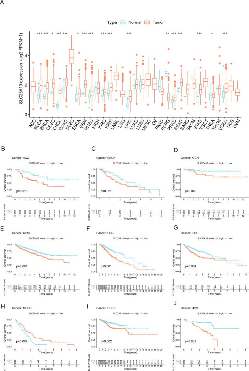 https://cdn.ncbi.nlm.nih.gov/pmc/blobs/c353/12008208/8a86218d26c7/41598_2025_98371_Fig1_HTML.jpg