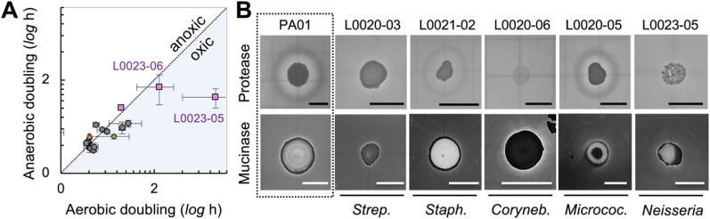https://cdn.ncbi.nlm.nih.gov/pmc/blobs/c355/8818537/44e9f1d9cde5/gr4.jpg