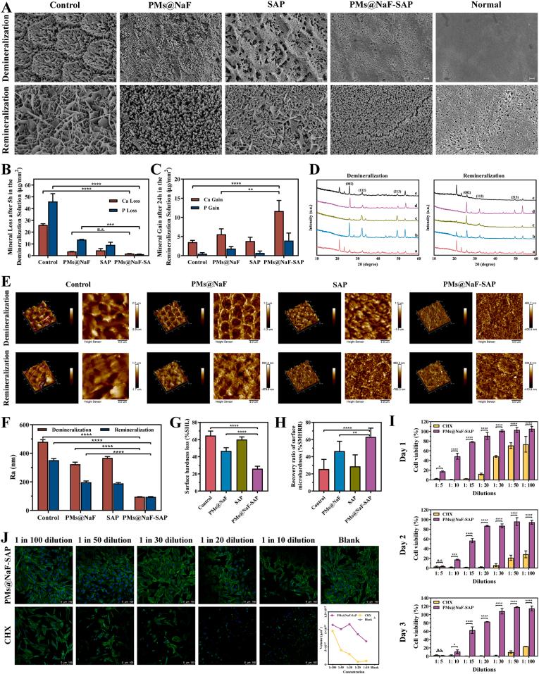https://cdn.ncbi.nlm.nih.gov/pmc/blobs/c355/9233191/b7a1a83fc145/gr4.jpg