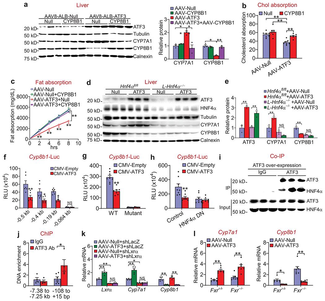 https://cdn.ncbi.nlm.nih.gov/pmc/blobs/c356/7856821/1c8b4afdc0a4/nihms-1653937-f0005.jpg