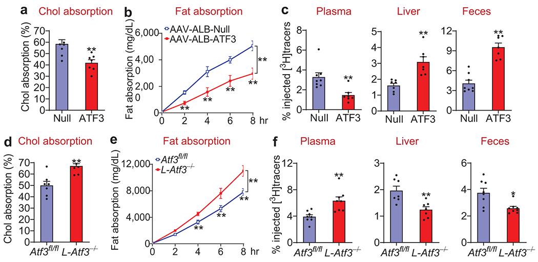https://cdn.ncbi.nlm.nih.gov/pmc/blobs/c356/7856821/38bbe4523fce/nihms-1653937-f0004.jpg