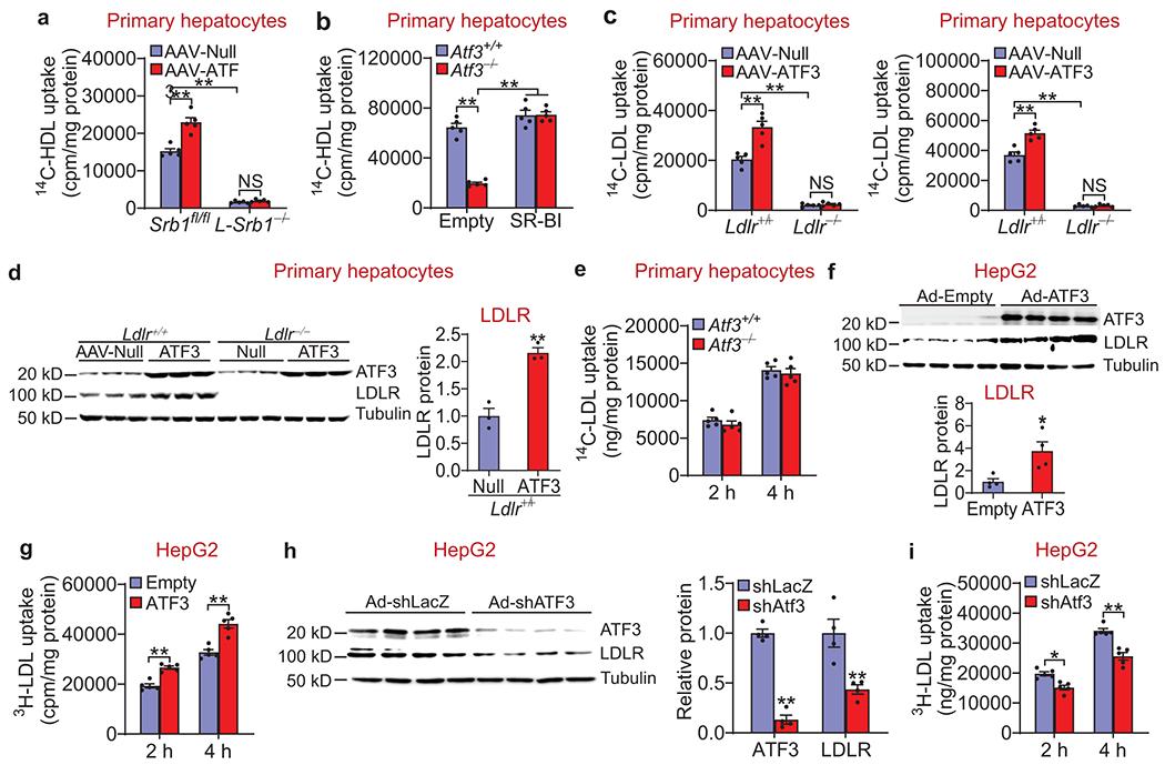 https://cdn.ncbi.nlm.nih.gov/pmc/blobs/c356/7856821/a8b839467b94/nihms-1653937-f0012.jpg
