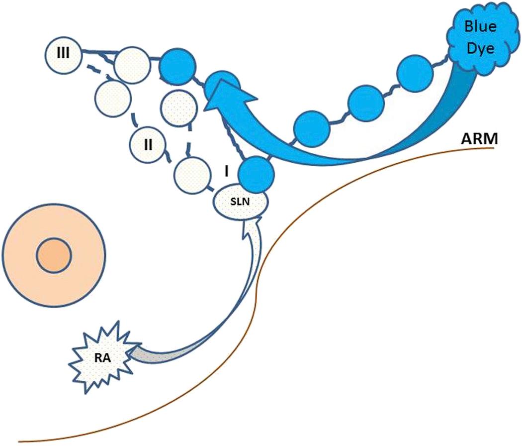 https://cdn.ncbi.nlm.nih.gov/pmc/blobs/c357/4354953/cecad2a8f322/nihms661681f1.jpg