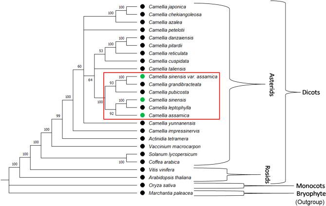 https://cdn.ncbi.nlm.nih.gov/pmc/blobs/c357/7794434/fa0fa0df3b8a/41598_2020_80431_Fig1_HTML.jpg