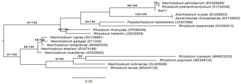 https://cdn.ncbi.nlm.nih.gov/pmc/blobs/c358/11356111/2c5adabde6d2/microorganisms-12-01586-g001.jpg