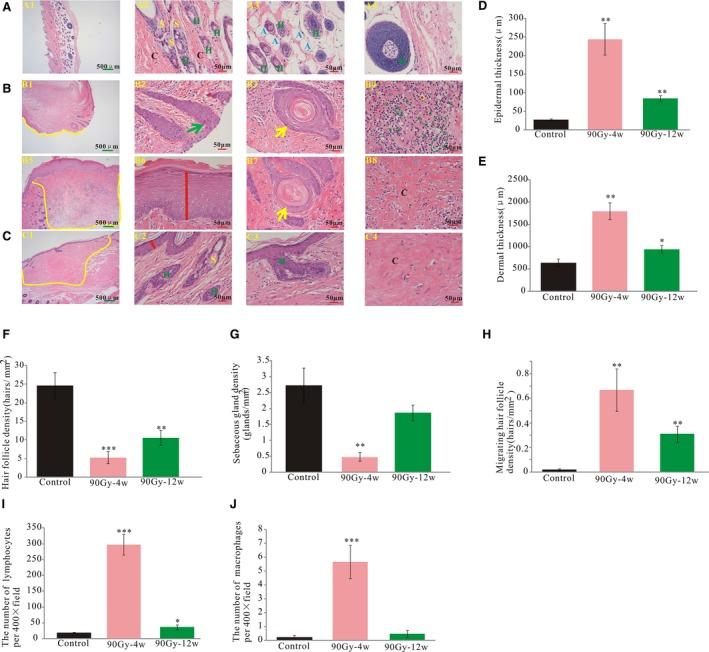 https://cdn.ncbi.nlm.nih.gov/pmc/blobs/c35b/6484338/d7e0848fd39c/JCMM-23-3178-g002.jpg