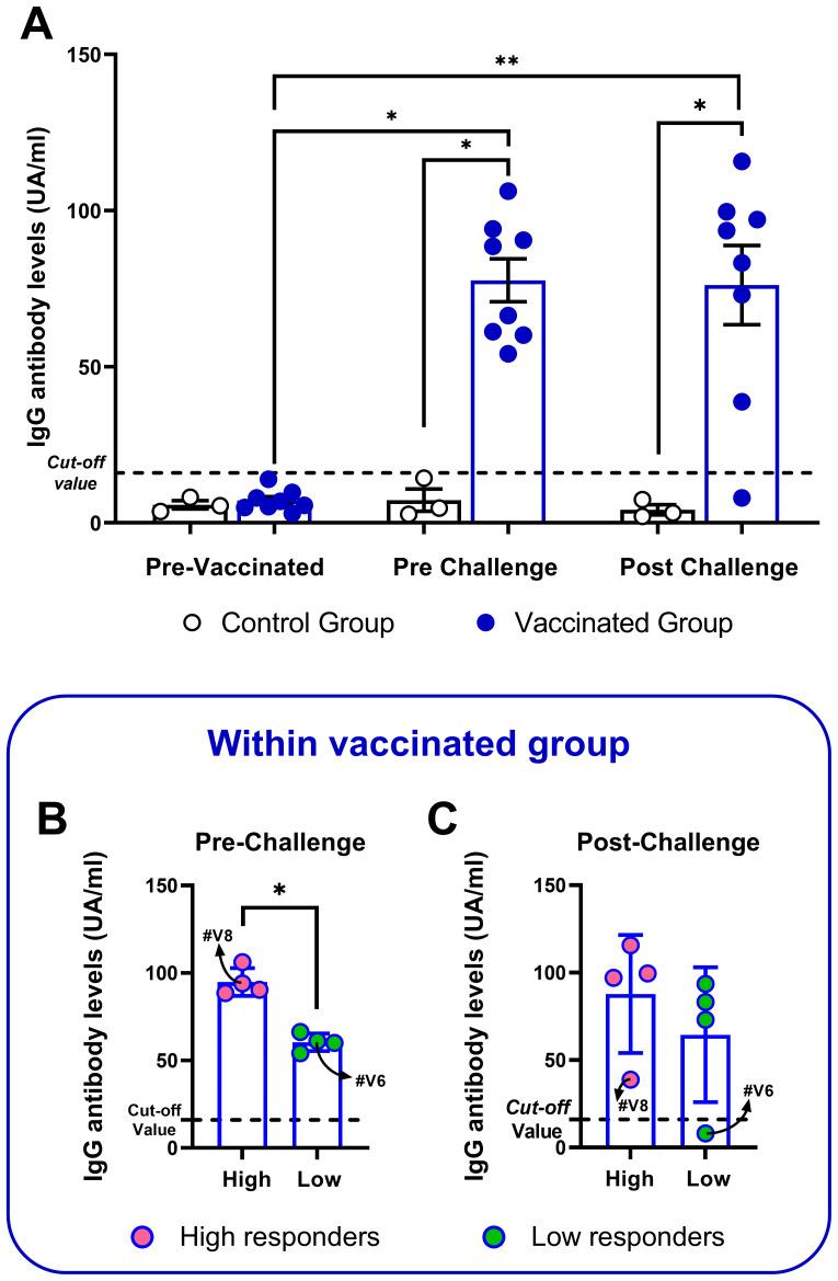 https://cdn.ncbi.nlm.nih.gov/pmc/blobs/c35d/12130040/a55965a948bc/fimmu-16-1584168-g001.jpg