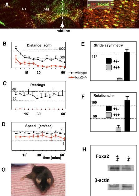 https://cdn.ncbi.nlm.nih.gov/pmc/blobs/c35e/2222964/2ebd4223de62/pbio.0050325.g003.jpg
