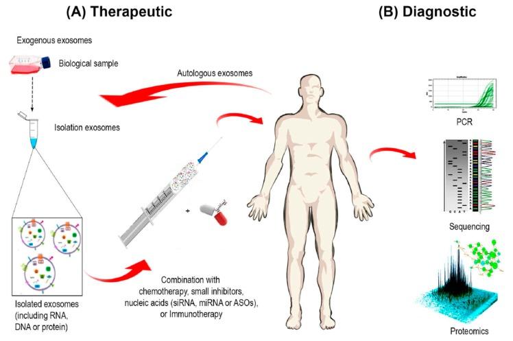 https://cdn.ncbi.nlm.nih.gov/pmc/blobs/c35e/5372554/da4a89c430b8/ijms-18-00538-g004.jpg