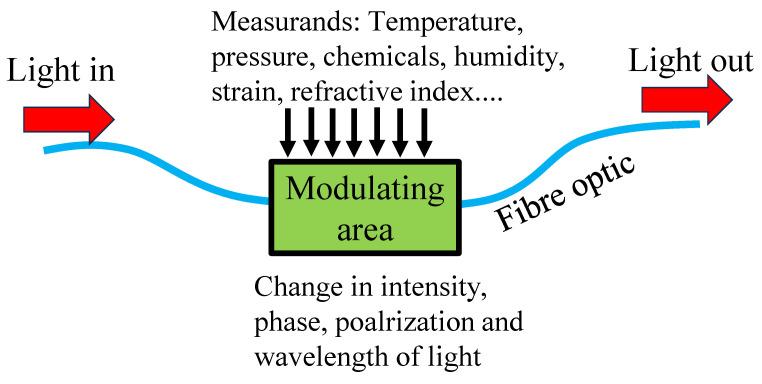 https://cdn.ncbi.nlm.nih.gov/pmc/blobs/c361/10526340/a59743d16bda/biosensors-13-00835-g002.jpg