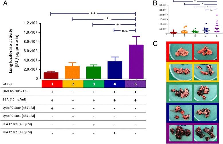 https://cdn.ncbi.nlm.nih.gov/pmc/blobs/c362/4499168/2fd260d8d7f4/12944_2015_70_Fig5_HTML.jpg