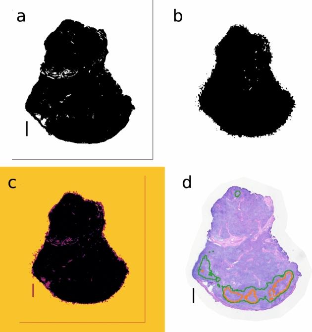 https://cdn.ncbi.nlm.nih.gov/pmc/blobs/c362/9606121/19c89e6226fc/41598_2022_22664_Fig6_HTML.jpg