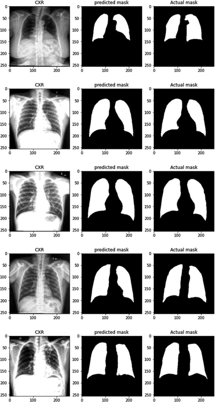 https://cdn.ncbi.nlm.nih.gov/pmc/blobs/c364/12049158/1e06b083c850/PJR-90-200628-g006.jpg