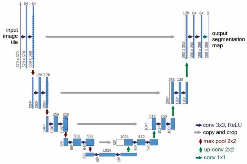 https://cdn.ncbi.nlm.nih.gov/pmc/blobs/c364/12049158/daf9ff27724f/PJR-90-200628-g003.jpg