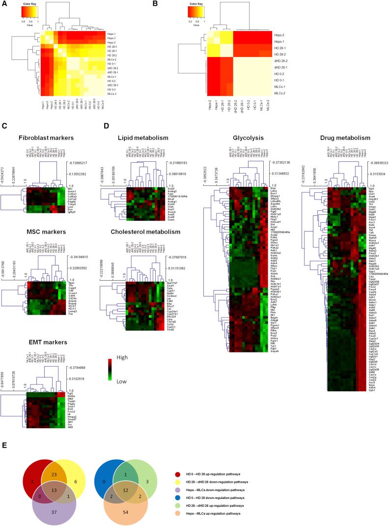 https://cdn.ncbi.nlm.nih.gov/pmc/blobs/c367/5511371/2eba0ac55514/gr2.jpg