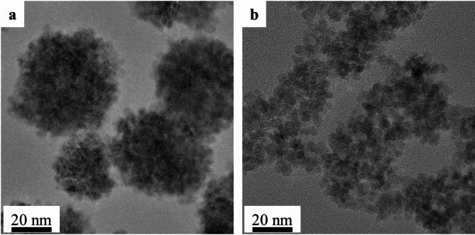 https://cdn.ncbi.nlm.nih.gov/pmc/blobs/c368/12019548/204961982dca/41598_2025_98348_Fig3_HTML.jpg