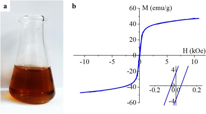 https://cdn.ncbi.nlm.nih.gov/pmc/blobs/c368/12019548/2fd81b3813bb/41598_2025_98348_Fig8_HTML.jpg