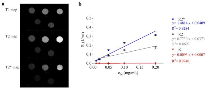 https://cdn.ncbi.nlm.nih.gov/pmc/blobs/c368/12019548/4d4478dc2a33/41598_2025_98348_Fig10_HTML.jpg