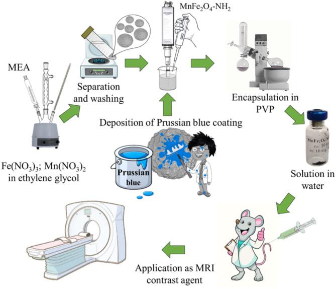 https://cdn.ncbi.nlm.nih.gov/pmc/blobs/c368/12019548/81d2575704b5/41598_2025_98348_Fig13_HTML.jpg