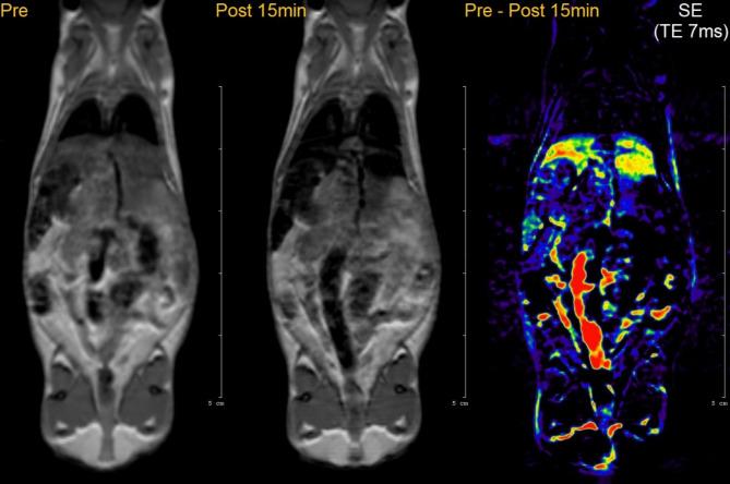 https://cdn.ncbi.nlm.nih.gov/pmc/blobs/c368/12019548/9d0a7a614d0e/41598_2025_98348_Fig12_HTML.jpg