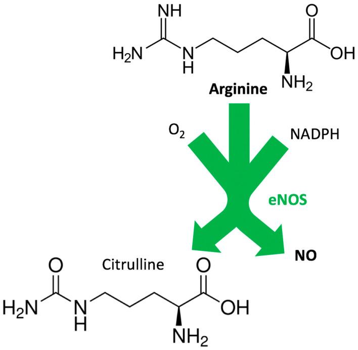 https://cdn.ncbi.nlm.nih.gov/pmc/blobs/c368/7460461/af1e16b07aea/biomedicines-08-00277-g001.jpg