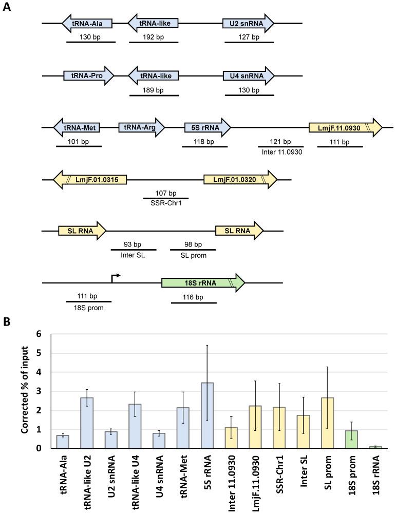 https://cdn.ncbi.nlm.nih.gov/pmc/blobs/c368/7920299/df99a5a7b7db/genes-12-00280-g005.jpg