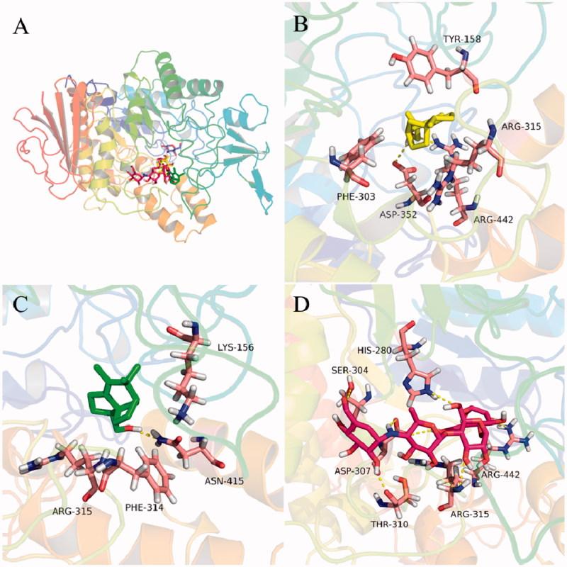 https://cdn.ncbi.nlm.nih.gov/pmc/blobs/c369/6495113/404a67bf6508/IENZ_A_1576657_F0005_C.jpg