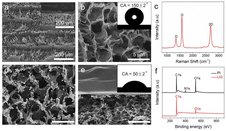 https://cdn.ncbi.nlm.nih.gov/pmc/blobs/c36a/9844491/7a3a9dd16449/biomimetics-08-00026-g002.jpg