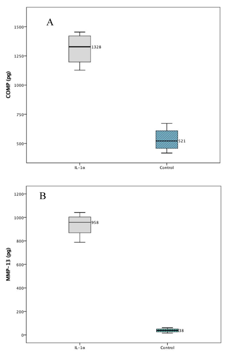 https://cdn.ncbi.nlm.nih.gov/pmc/blobs/c36b/11172560/27fb2a35d3ab/ijms-25-06014-g001a.jpg