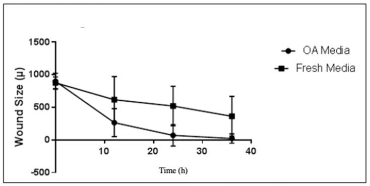 https://cdn.ncbi.nlm.nih.gov/pmc/blobs/c36b/11172560/8eb2a233a06e/ijms-25-06014-g004.jpg