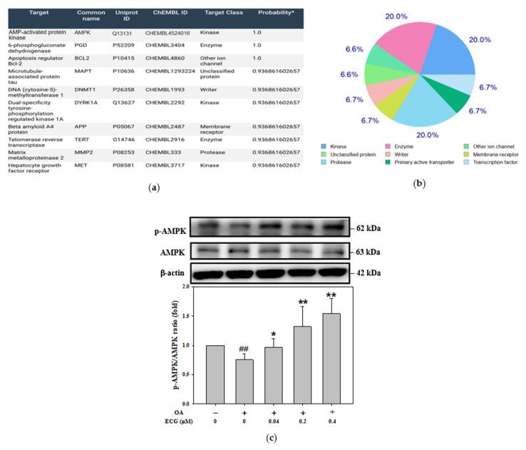 https://cdn.ncbi.nlm.nih.gov/pmc/blobs/c36b/12347588/bfb32f2b95a0/ijms-26-07612-g003.jpg