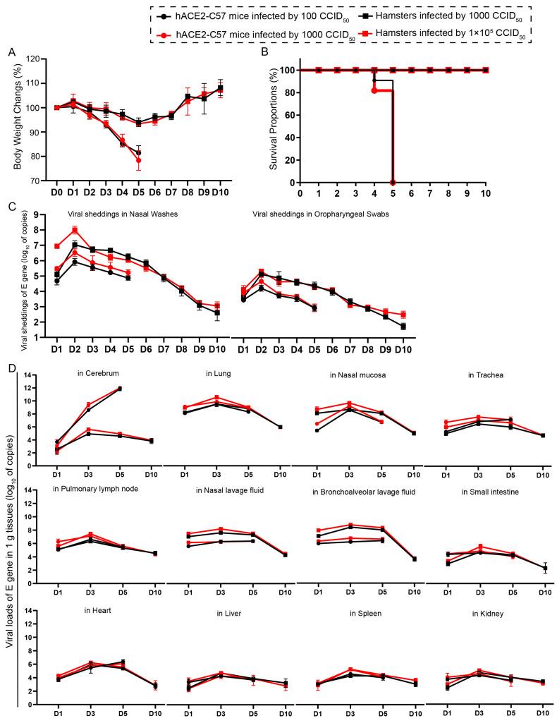 https://cdn.ncbi.nlm.nih.gov/pmc/blobs/c36c/10815841/f20267de0935/ijms-25-00997-g001.jpg