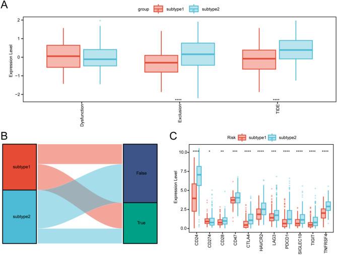 https://cdn.ncbi.nlm.nih.gov/pmc/blobs/c36d/12297655/30e2e5f4c06f/41598_2025_12839_Fig6_HTML.jpg