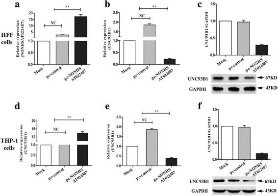https://cdn.ncbi.nlm.nih.gov/pmc/blobs/c36d/5848448/387b9a531874/13071_2018_2697_Fig6_HTML.jpg