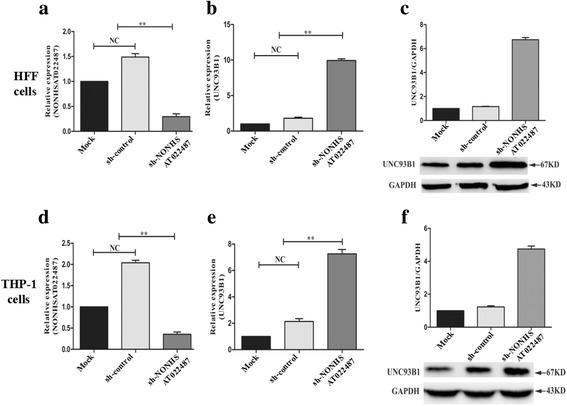 https://cdn.ncbi.nlm.nih.gov/pmc/blobs/c36d/5848448/4f734bc50d9b/13071_2018_2697_Fig5_HTML.jpg