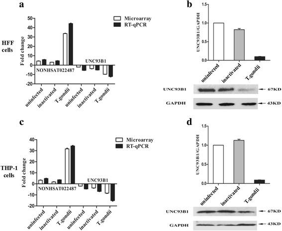 https://cdn.ncbi.nlm.nih.gov/pmc/blobs/c36d/5848448/b5b88f5b62b9/13071_2018_2697_Fig4_HTML.jpg