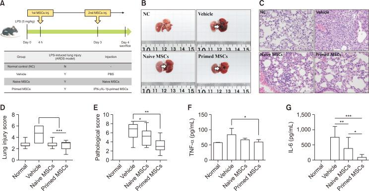 https://cdn.ncbi.nlm.nih.gov/pmc/blobs/c36e/11893491/70db9c505f77/bt-33-2-311-f4.jpg